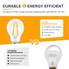 TOKCON 12V Low Voltage LED Light Bulbs - Soft Warm