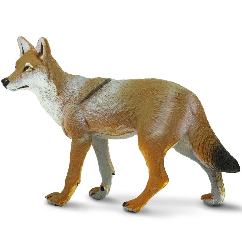 Safari Ltd. Coyote Figurine - Lifelike 3.75" Model Figure -