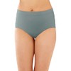 Bali Womens Comfort Revolution Microfiber Seamless Brief, 9