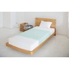 Footmark 403111 New Hassui Sheet, 39.4 x 59.1 inches (100