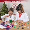 Advent Calendar 2024, Crystal Growing Kit, Crystals Advent Calendar 2024