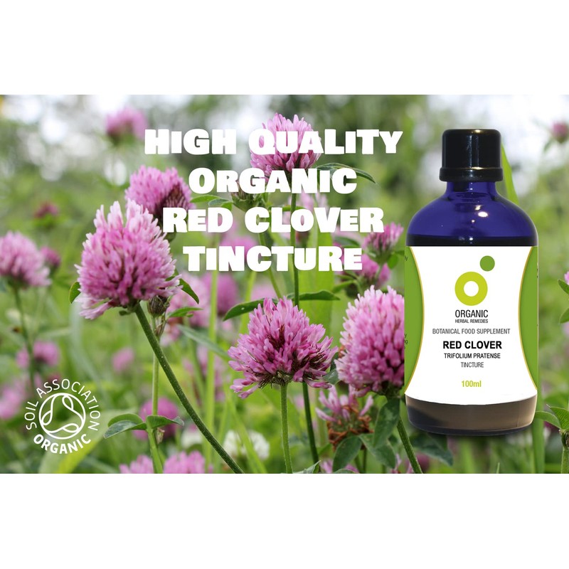 Organic Herbal Remedies Red Clover Tincture, 100 ml