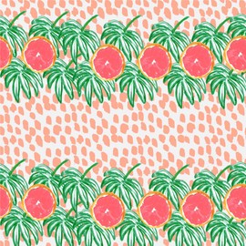 GRAPHICS & MORE Grapefruit and Leaves Gift Wrap Wrapping Paper Rolls