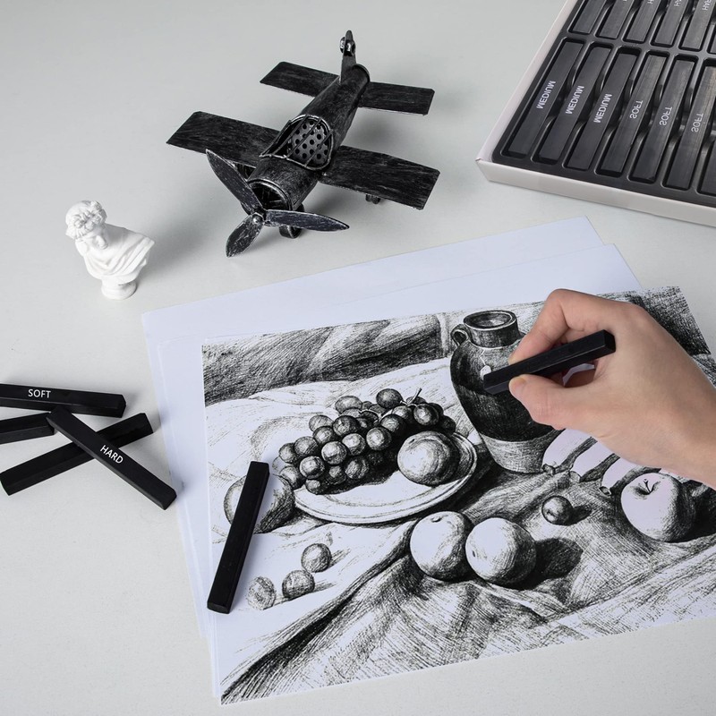 Dlicoda 24 Pcs Compressed Charcoal Sticks with Soft, Medium, Hard
