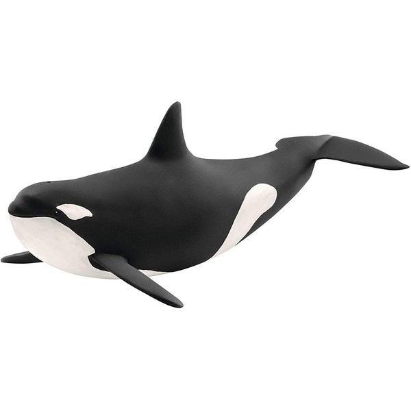 SCHLEICH Wild Life Killer Whale Educational Figurine for Kids Ages 3-8