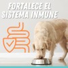 Fancy Pets MS Probióticos para Perros y Gatos con 60