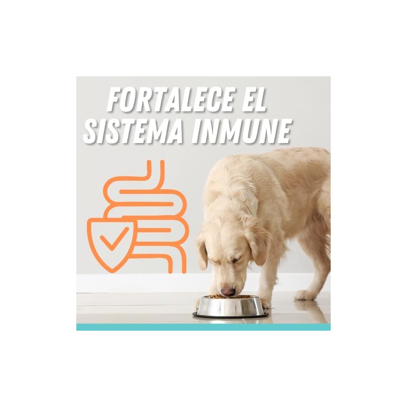 Fancy Pets MS Probióticos para Perros y Gatos con 60