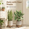 Bamworld Plant Caddy 12 Inch Wood Dolly with Drainage Tray