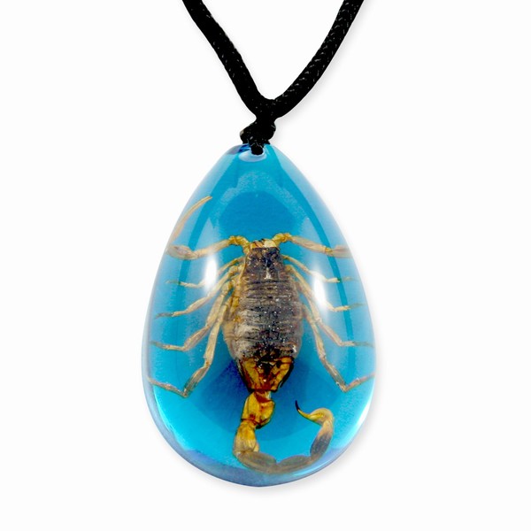REALBUG Gold Scorpion Necklace, Blue, large