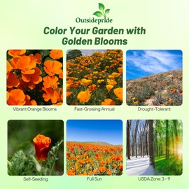 Outsidepride Outsidepride Eschscholzia Orange California Poppy Seeds - 5000 Pcs Annual, Native, Drought Tolerant Wildflower Seeds w/Vibrant Blooms for Full Sun & Drought-Tolerant Pollinator-Friendly Gardens