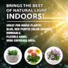 Bell+Howell Bionic Grow Grow Light for Indoor Plants 4 Heads