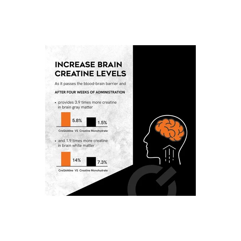 Cregaatine Micronized Creatine Monohydrate + Gaa, 60 Sachets