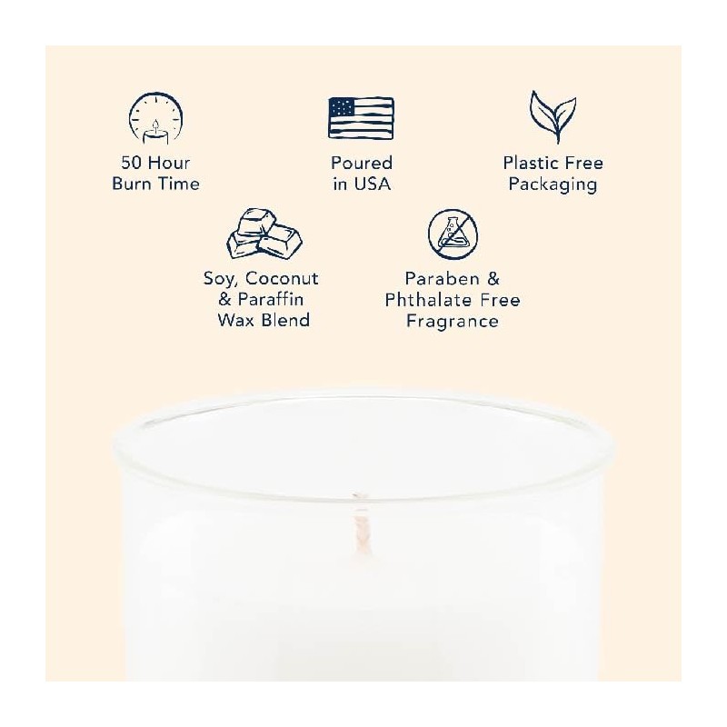 Northern Lights Candles - ESQUE Insert - 9oz - Evergreen