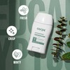 Carpe Underarm Antiperspirant and Deodorant, Clinical strength with Rose Water