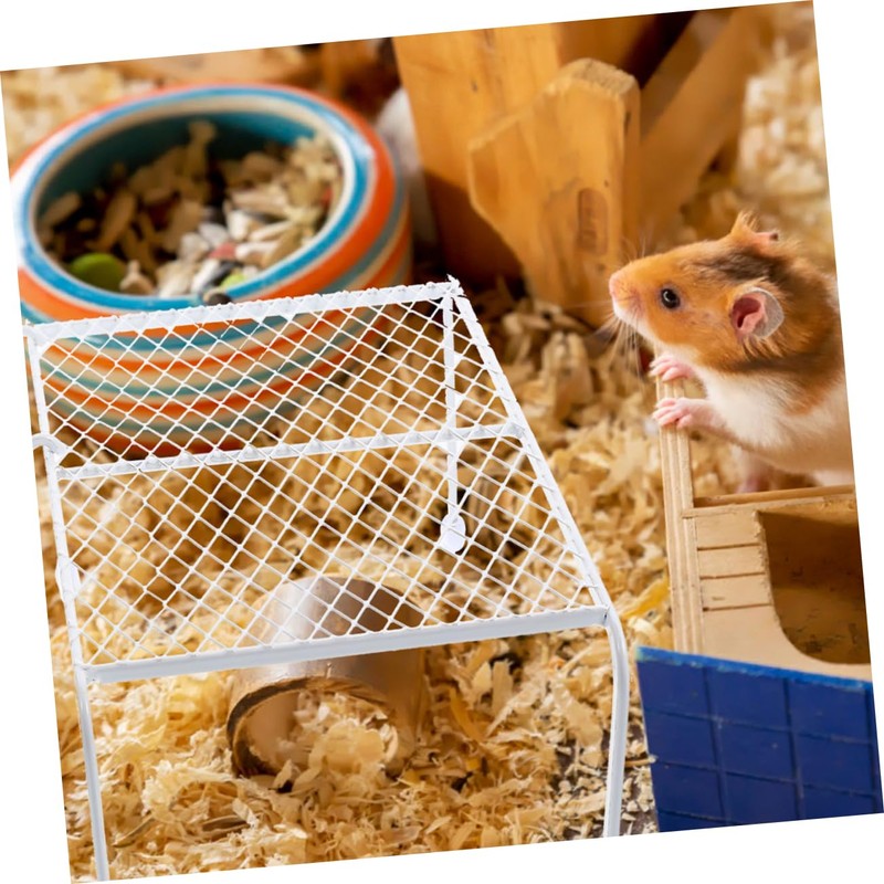 Totority 1set Chicken Platform with Climbing Ladder Mesh Shelf for