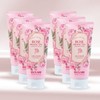 (엘클레어)NEW 엘클레어 페이스바디 필링젤 시즌2 6개세트 (Elclair) NEW Elclair Face