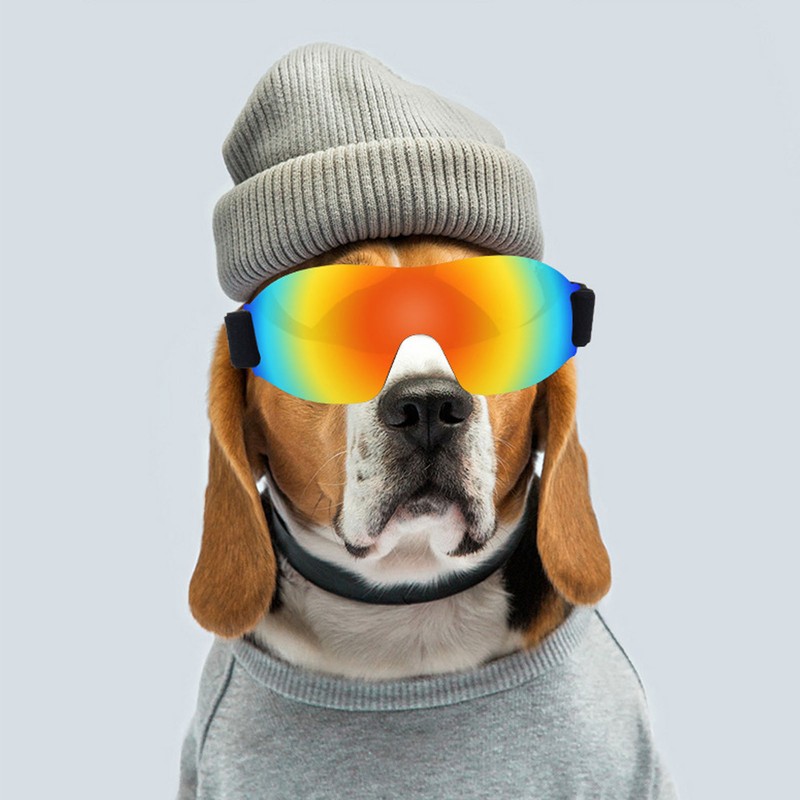 Dog Goggles Wind Sand UV Protection Eye Protection Adjustable Dog