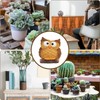 Unique Owl Little Planter Pot, Cute Succulent Indoor Flower Pot,