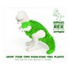 Gift Republic Dinosaur Shaped Chia Planter. Desktop Sprouting Chia Animal.