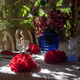 Red Tissue Paper Pom Poms - Assorted Sizes - Red Party Decorations for Birthdays, Weddings, Baby Showers and Special Occasions by Avoseta (16 Piece Set)