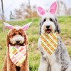 Easter Dog Bandanas 2 Pack, Bunnies Carrots Dog Scarfs for