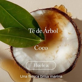 RAW SUGAR, The Strength Builder 2 in 1, Shampoo y Acondicionador, Árbol de Té y Coco, Limpia, Fortalece y Nutre, 16 OZ