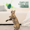 Flappy Bird Cat Toy for Kittens Under 6 Months and