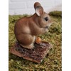 Dormouse by Vivid Arts, suitable for inside or out