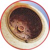 Mitsubishi Aluminum (Mitsubishi Aluminum) MA Packaging Kireidea Range Hood Fan