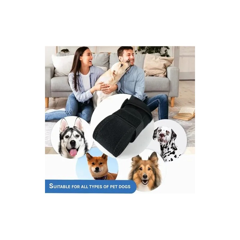 Rodillera Para Perros Rodillera Acl Para Perros Rodillera Pr Negro