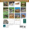 Wolves Mini Wall Calendar 2026 7" x 7"