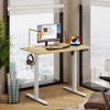 DEVAISE 40 X 24 Inches Electric Standing Desk,Height Adjustable Stand