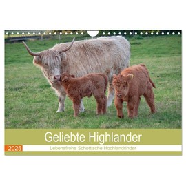 Geliebte Highlander (Wandkalender 2025 DIN A4 quer), CALVENDO Monatskalender