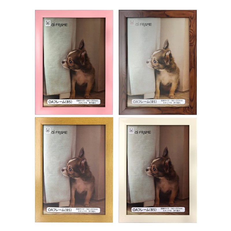 Iwata JOA-B5-W Picture Frame, OA Frame, Resin, White