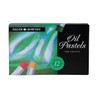 Daler-Rowney Artists Oil Pastels Set, 12-Piece, Drawing and Sketching, Professional