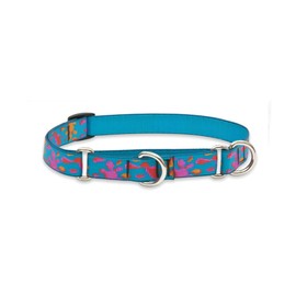 LupinePet Originals 3/4" Wet Paint 10-14" Martingale Collar for Small Dogs
