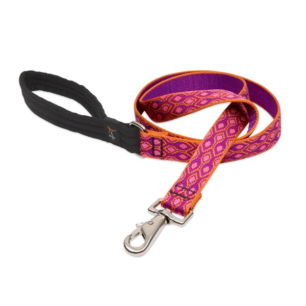 LupinePet Originals 1" Alpen Glow 4-Foot Padded Handle Leash for Medium and Larger Dogs