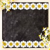 Whaline 32.8 Ft Daisy Flower Bulletin Board Border Cartoon White