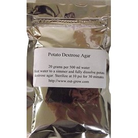 Potato Dextrose Agar (PDA)