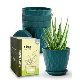 Goproauto 6 Inch Indoor Planter Pots with Drainage Hole and Tray Saucer,Flower Pots for Indoor Outdoor Garden Plants and Flowers, Multicolor, 5 Packs (Blue)