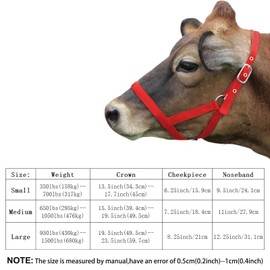 Cow Halter Cattle Halters Calf Halter with Leading Rope，Adjustable Nylon Livestock Cattle Halter，for Miniature Horse Donkey Goat Foal (Black, Medium)