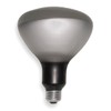 Incandescent Floodlight, R40, 250W