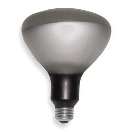 Incandescent Floodlight, R40, 250W