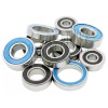 VXB Team Associated Rc10 Team CAR 1/10 Scale Bearing set