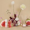 Palm Beach Collection Pomelo & Dewberry Room Mist 100ml