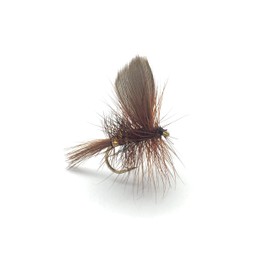 Fly Fishing Season Select Dry Fly Wickhams Fancy Set of 16 Flies with Clip Closure Fly Box #319