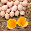 MUNSKT Egg Opener,2 PCS Egg Peeler,Egg Shell Opener,2025 New Multifunctional