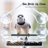 GURECOD Window Bird Feeder with Removable Feeding Tray for Backyard