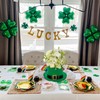 Watayo 2 Pack St. Patrick's Day Hat Flower Pot Set,