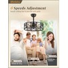 Fanbulous 20 Inch Fandelier Caged Ceiling Fans with Lights and
